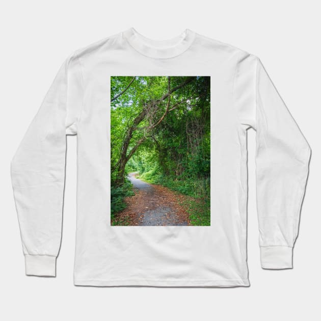 Natural Woodlands Arch Long Sleeve T-Shirt by andykazie